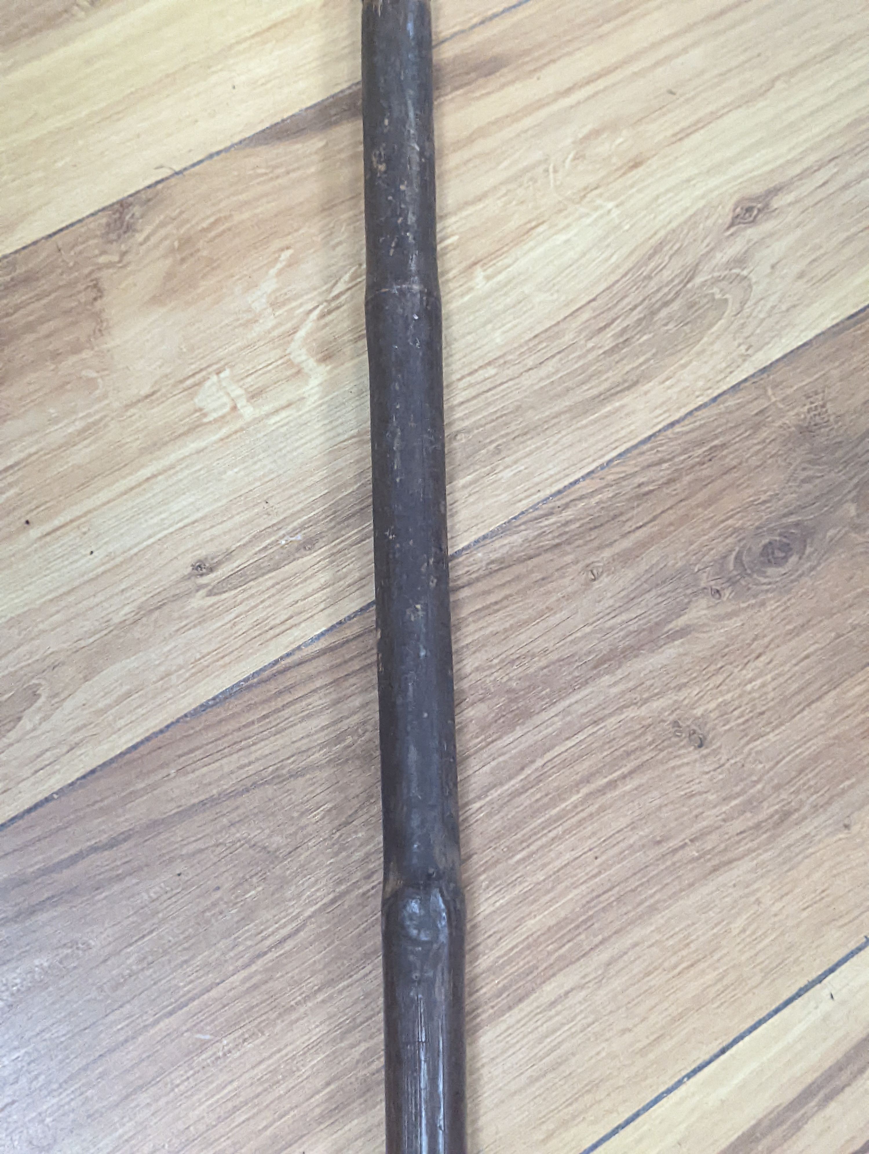 Two West African spears 236cm